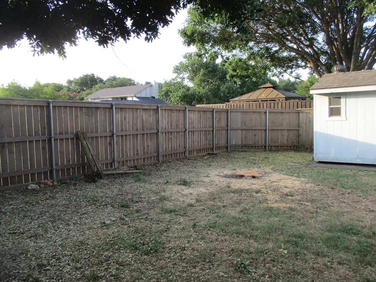 Cleared yard after professional tree removal in Orange City